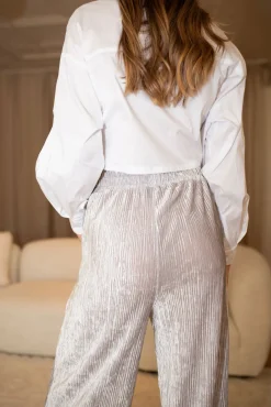 Store DAILYSTORY Claudia Pants - Silver