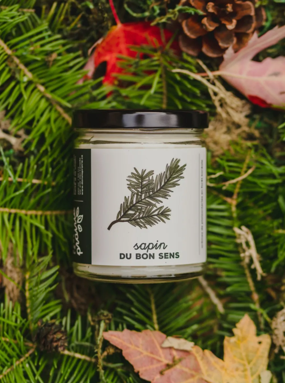 Store DANS LA PRAIRIE IN THE PRAIRIE Common Sense Fir Candle