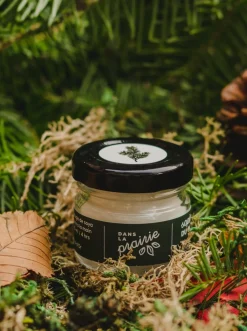 Store DANS LA PRAIRIE IN THE PRAIRIE Common Sense Fir Candle