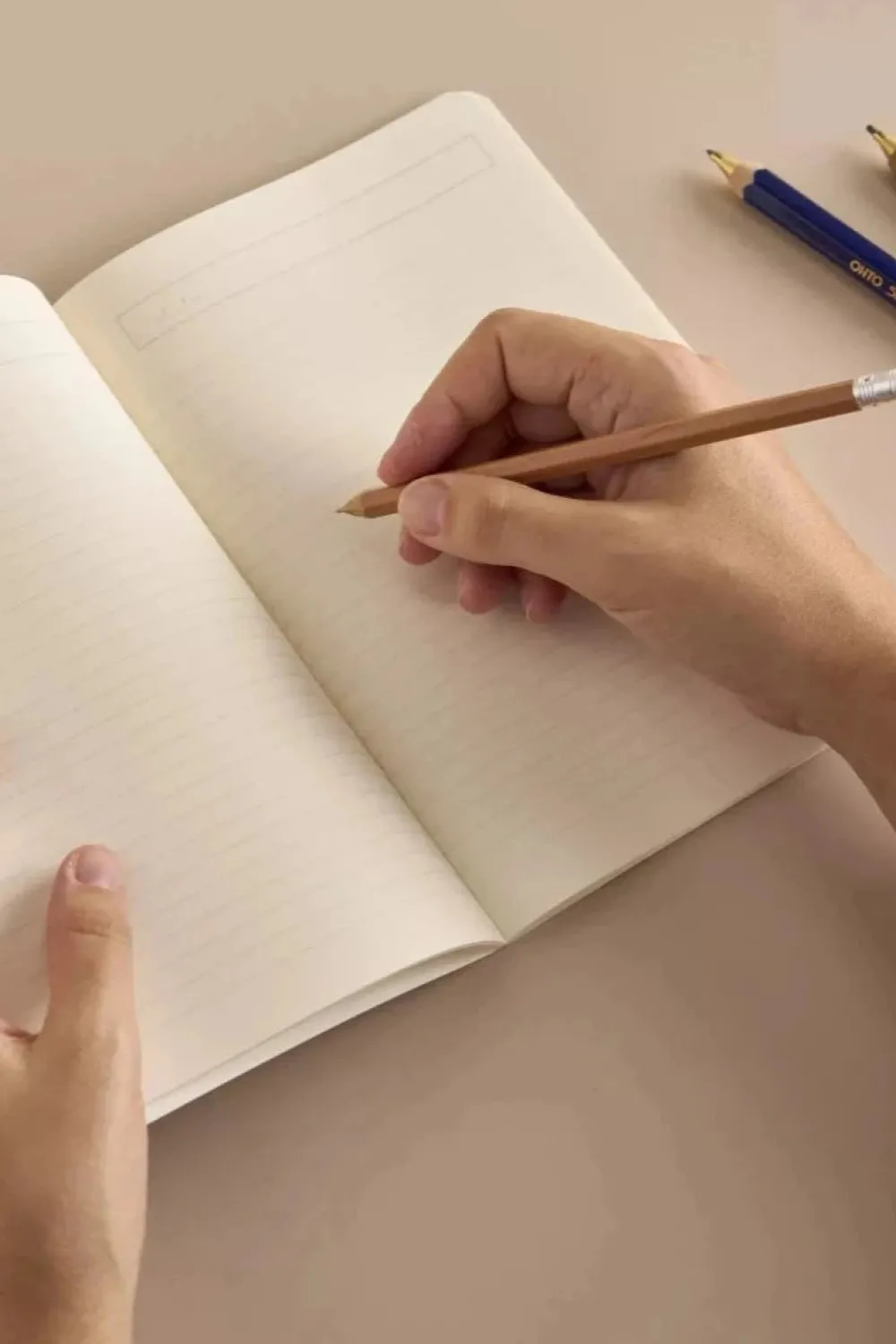 Outlet SEASON PAPER Notebook - Interlacing